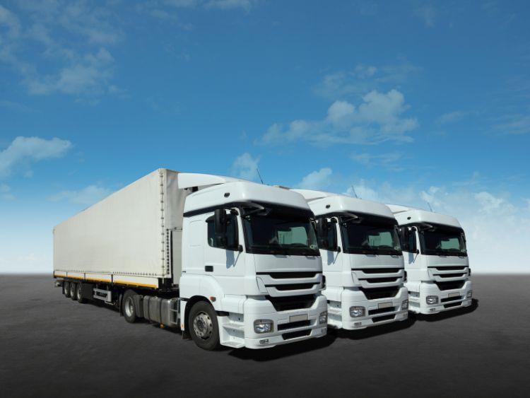 3 Vehicles